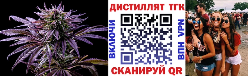 ТГК жижа  Болотное 