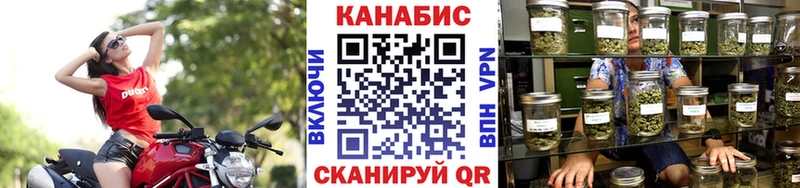 Марихуана конопля  как найти   Болотное 